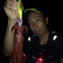 ケンサキイカナイトゲーム☆