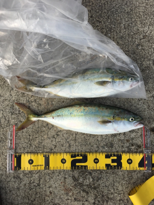 汗だくだく！！