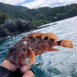 カヤックフィッシング！