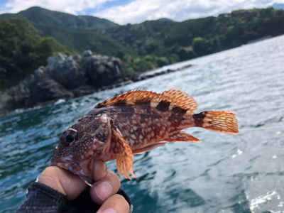 カヤックフィッシング！