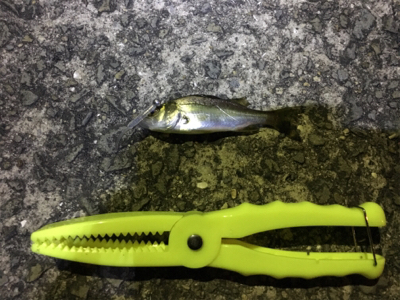 ライトゲーム入門