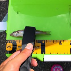 激濁りキッシング