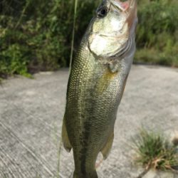 ガルプ最高‼︎！