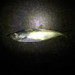 全く知らなかったです。