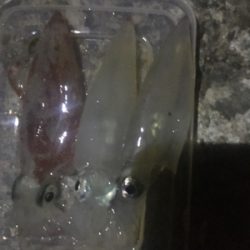 ライトエギング