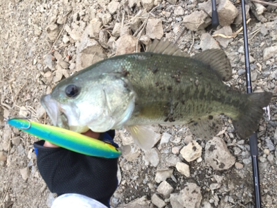 巻き巻きウキウキ