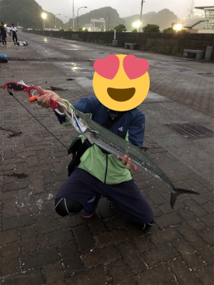 サワラ釣れたよ