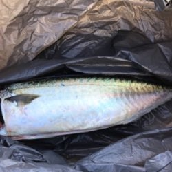 剣先狙いの前に