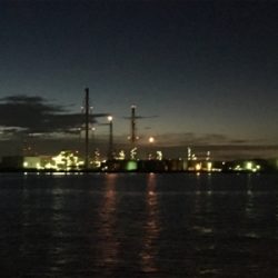 シーバスはいずこへ?