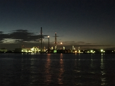 シーバスはいずこへ?