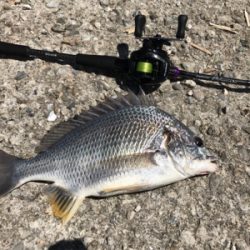 短時間チニング