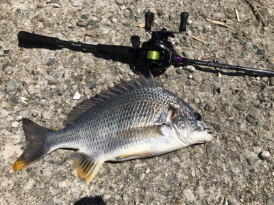 短時間チニング