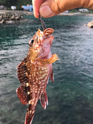 オヤジ達の釣り旅行1日目