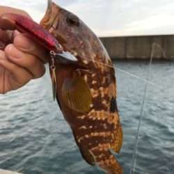 オヤジ達の釣り旅行2日目