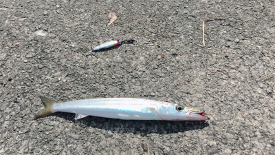 ラッキーパンチ