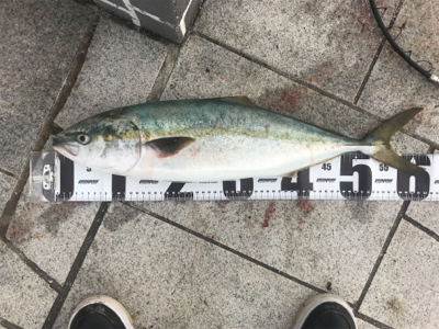 自己ベスト更新