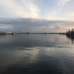 貝塚でサビキからの田尻の釣堀。