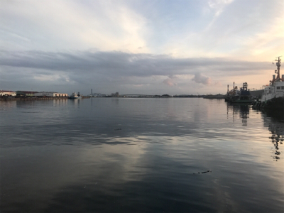 貝塚でサビキからの田尻の釣堀。