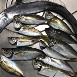 初手漕ぎボート