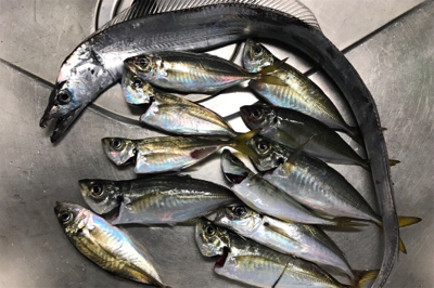 初手漕ぎボート