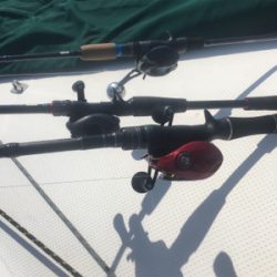 ヨットからショアジギング