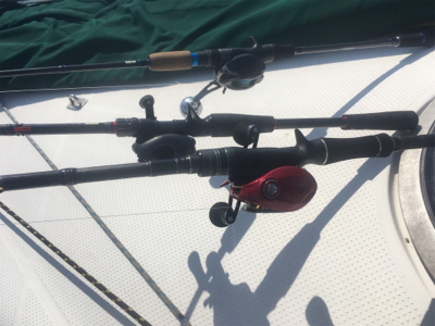 ヨットからショアジギング