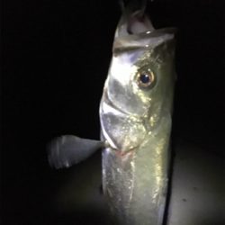 厳しい中でも…