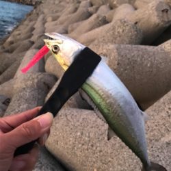 何でこうなるの？（笑）