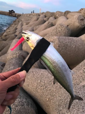 何でこうなるの？（笑）