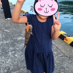 サビキ釣りメイン