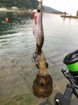 オヤジ達の釣り旅行3日目
