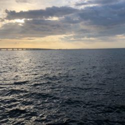 ライトショアとワインド