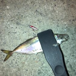 ナイトアジング