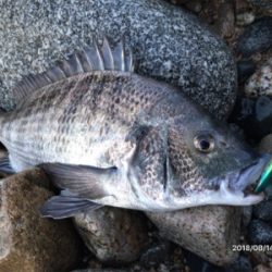 トップゲーム❷