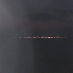 朝タチウオ調査