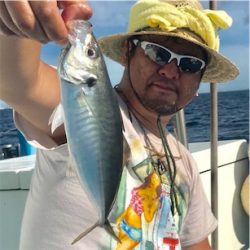 横須賀走水の高取丸さんからアジ釣り。
