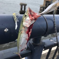 ストラクチャー頼み