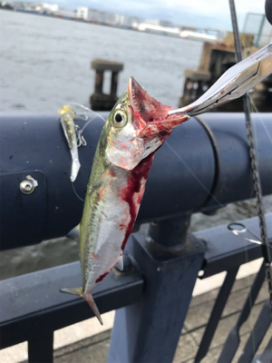 ストラクチャー頼み