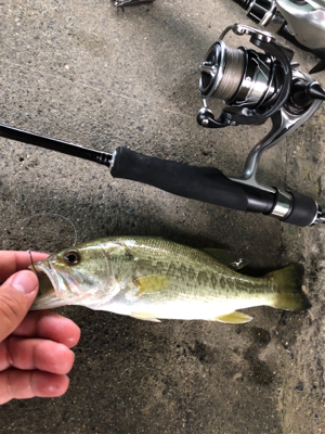 至福のバス釣り