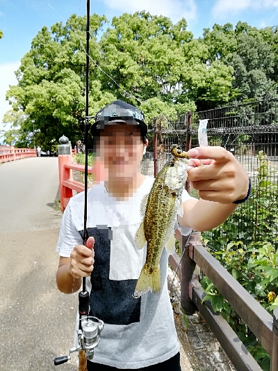 人生初ブラックバス