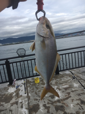 シオ回ってます