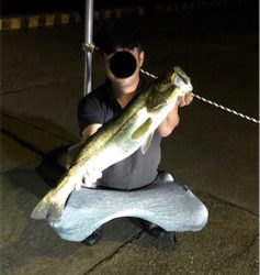 なんや色々釣れた