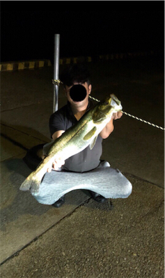 なんや色々釣れた