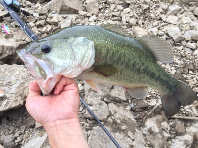 かっとんできた！