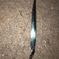 ジグサビキのちワインドからの花火