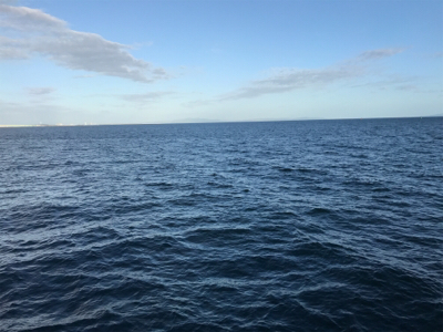 タチウオの顔見に行こうと