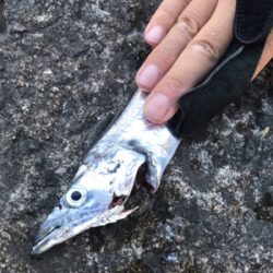 激渋の長期戦の末