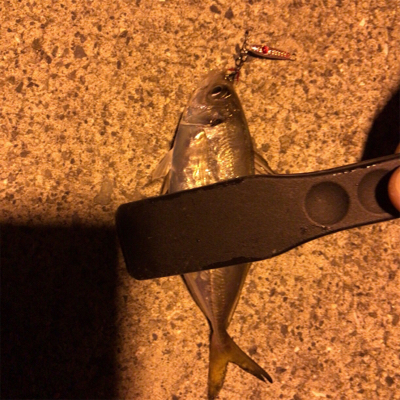 ナイトアジング2