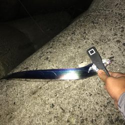 アジングでタチウオ