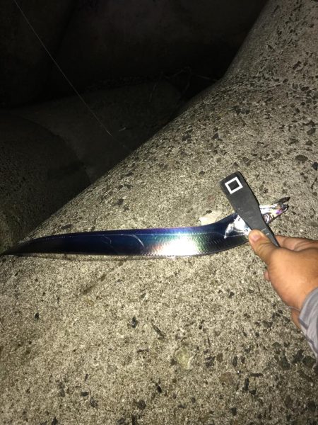 アジングでタチウオ